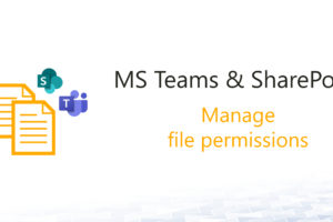 Manage file permissions in MS Teams and SharePoint Online – This is how it works
