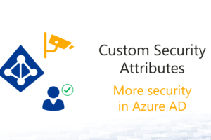 Azure AD Custom Security Attributes enable flexible authorization structures