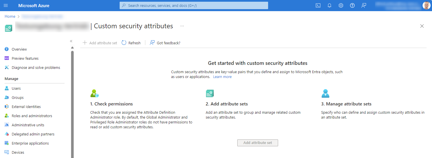 Extension attributes in Entra ID