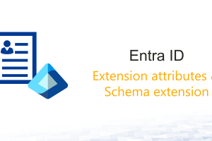 What types of extension attributes are available in Entra ID?