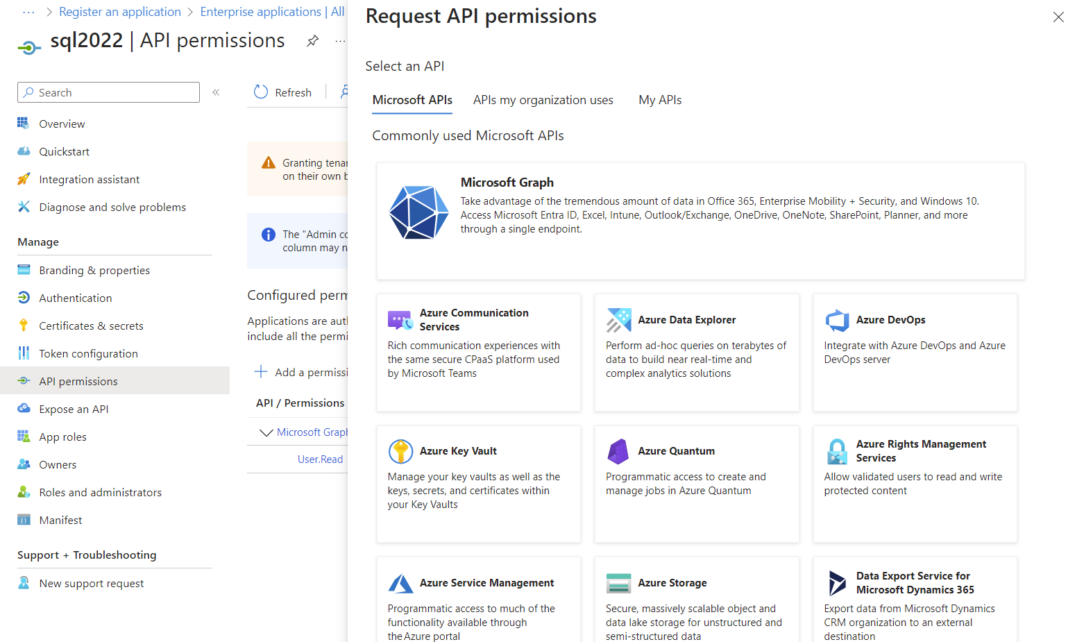 Control API authorizations